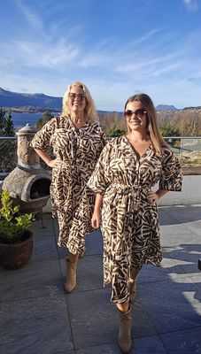 Hovedbilde JASMINE DRESS (05SW458 ) - brown